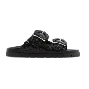 9743 Caiman